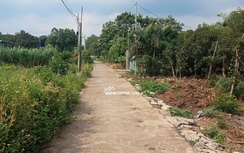 ĐẤT CẨM MỸ LÀM NHÀ VƯỜN